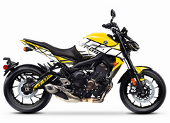 Imagen principal de Dekor-Kit kompatibel mit Yamaha MT09 selbstklebenden Vinyl-Aufklebern